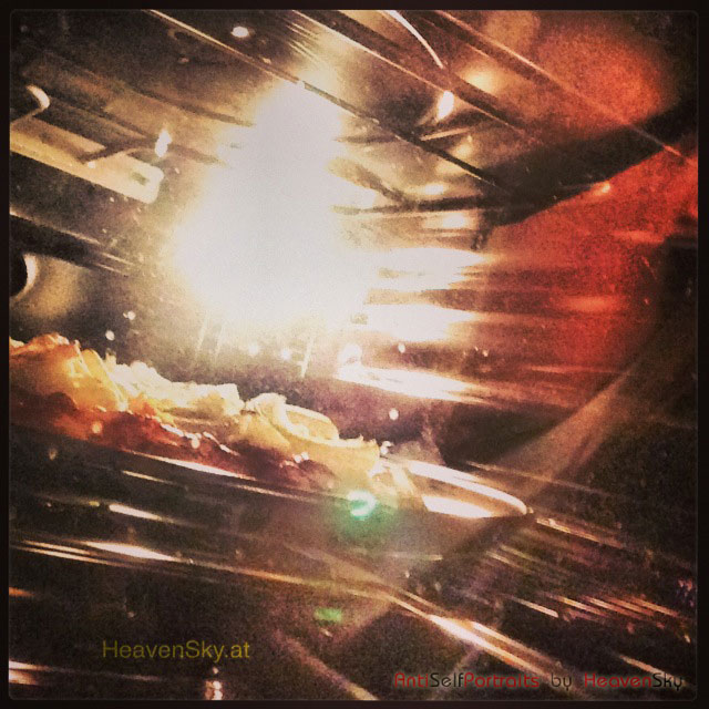 AntiSelfPortrait-AntiSelbstPortrait-Anti-Selbst-Portrait-Anti-Self-Portrait