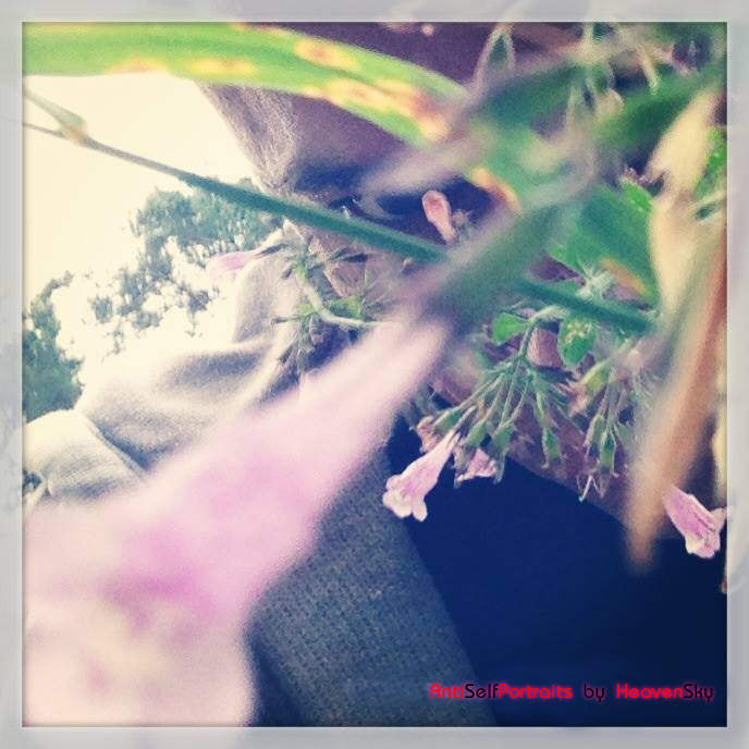 AntiSelfPortrait-AntiSelbstPortrait-Anti-Selbst-Portrait-Anti-Self-Portrait