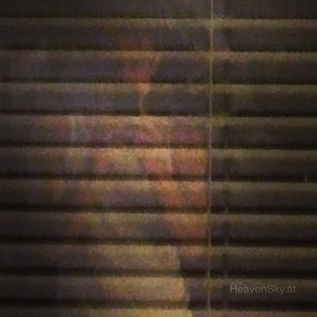 AntiSelfPortrait-AntiSelbstPortrait-Anti-Selbst-Portrait-Anti-Self-Portrait